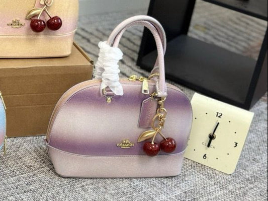 8.21.25 Purse purple ombre satchel CO