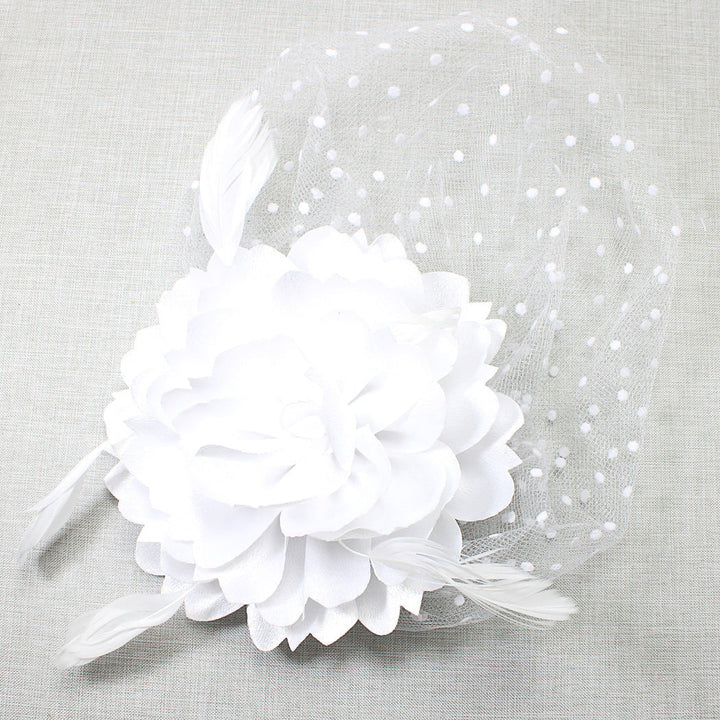 4.3.25 Fascinator w mesh trim