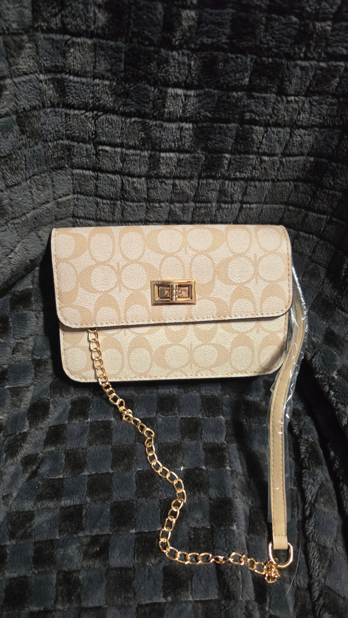 7.29.26 Purse cross body w gold chain